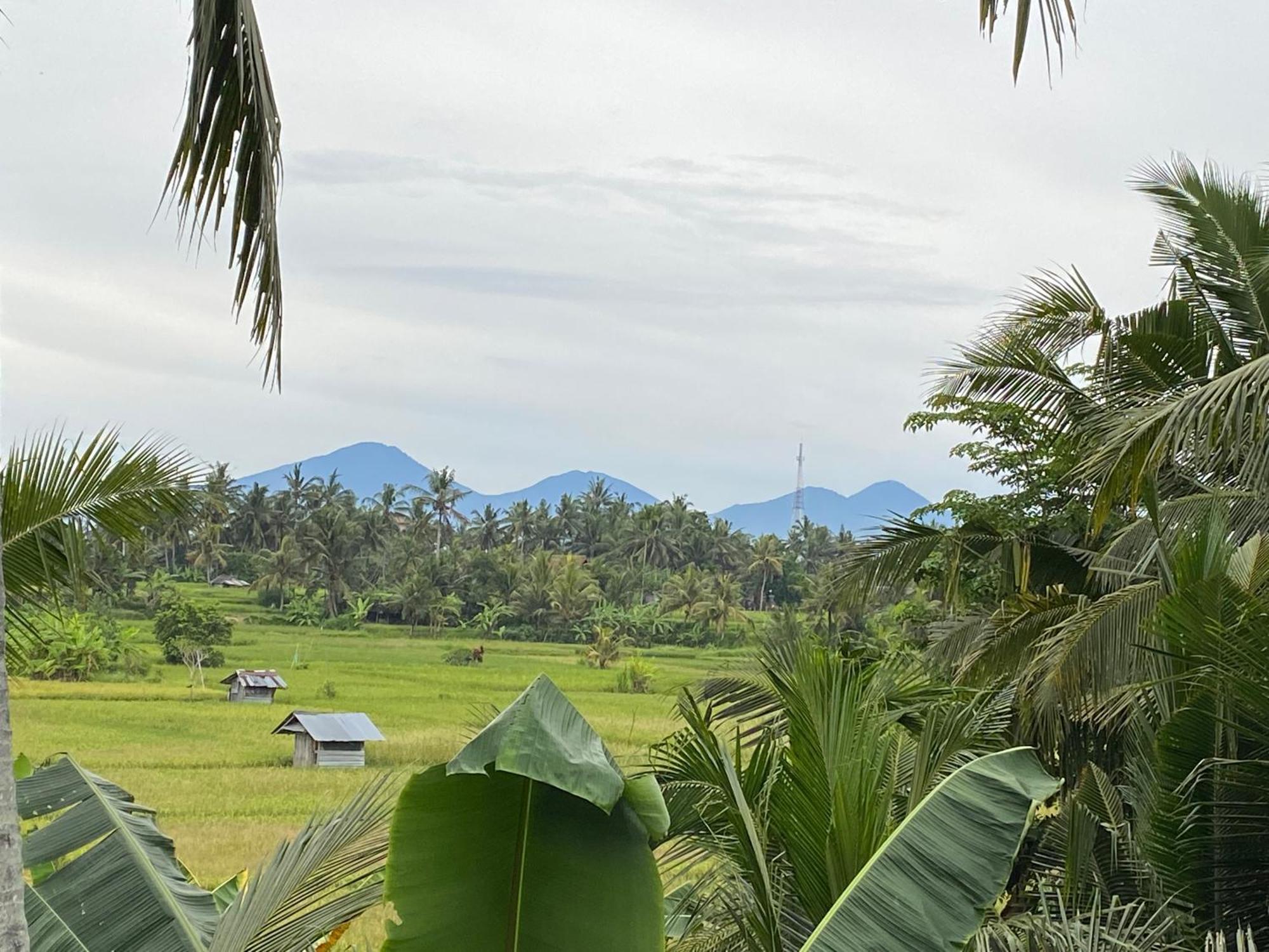 The Shea Ubud Tranquility Villa With Private Pool Buitenkant foto